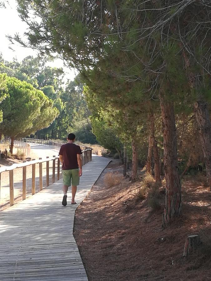 Una Ventana Al Mar Torrevieja Dış mekan fotoğraf